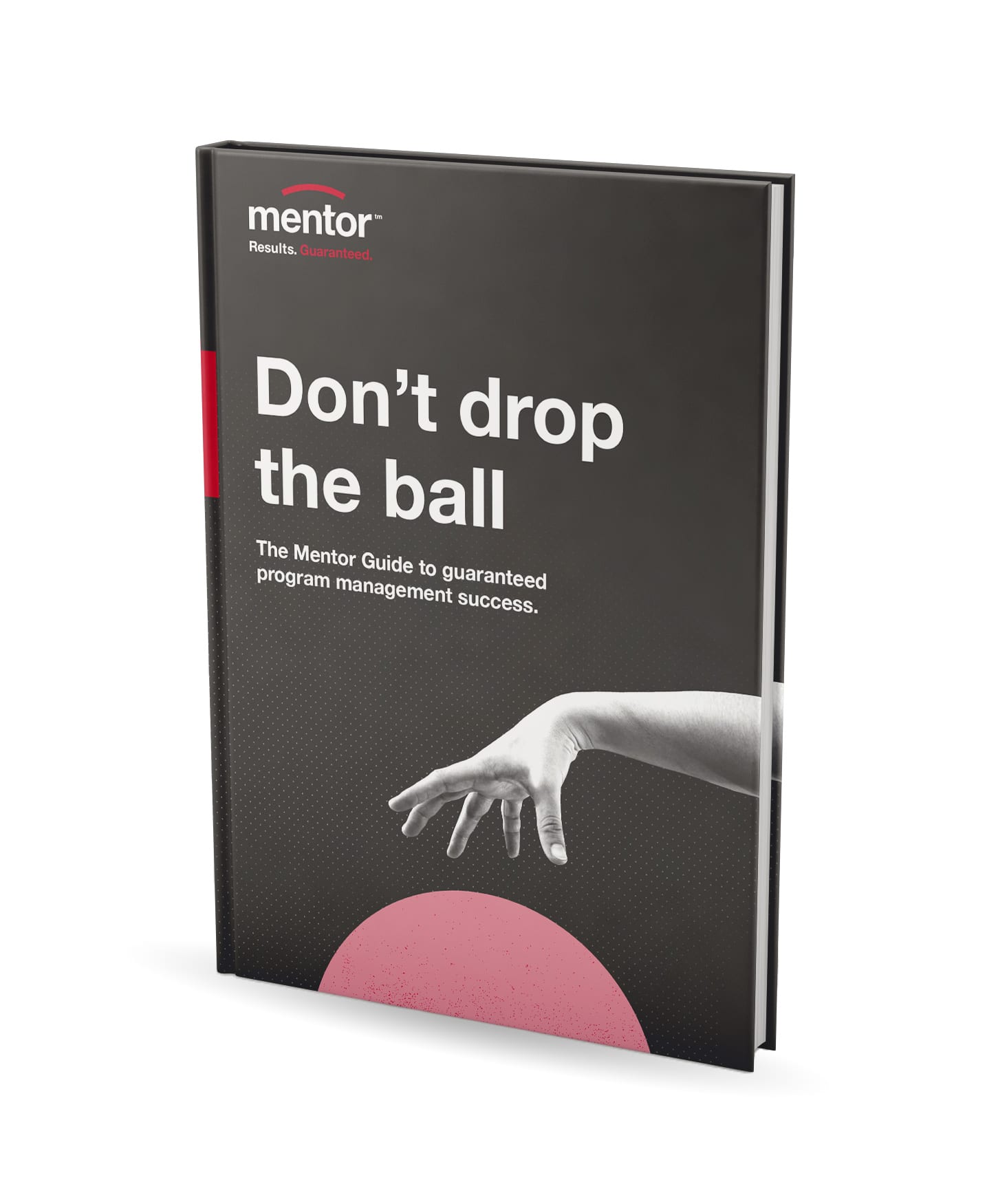 Don't drop the ball book